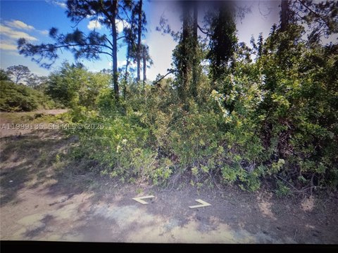 Residential Land Lehigh Acres