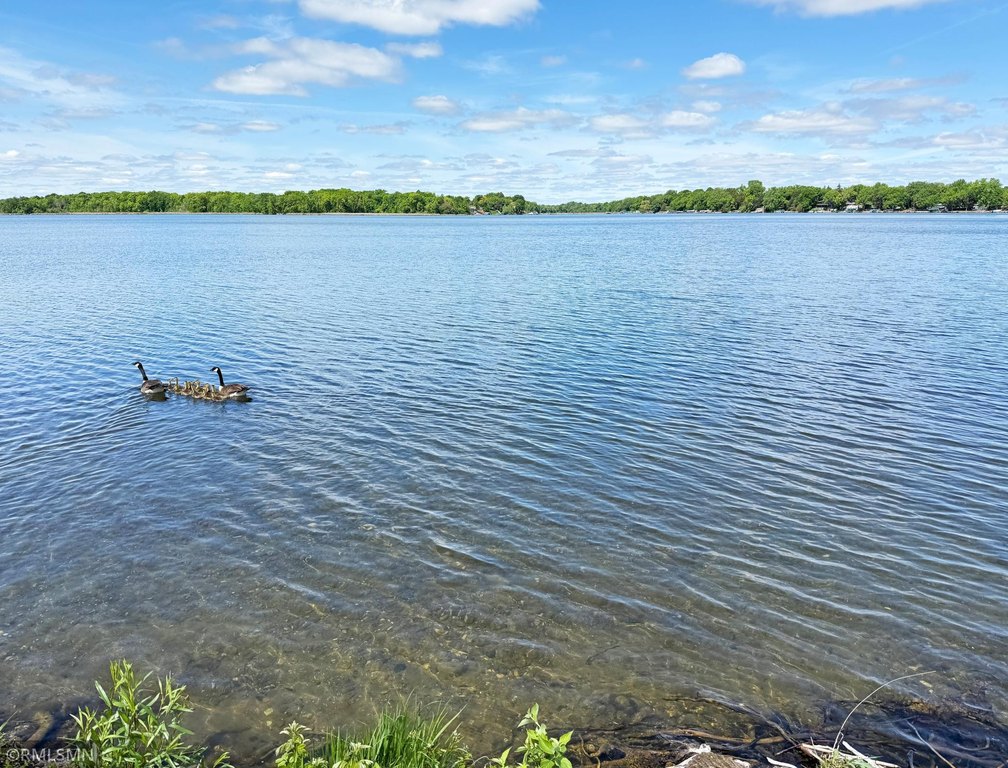 Picture 16