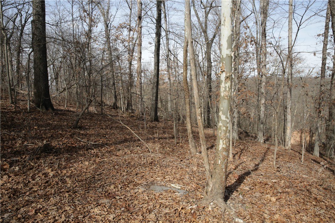 Bella Vista Acreage Home Site