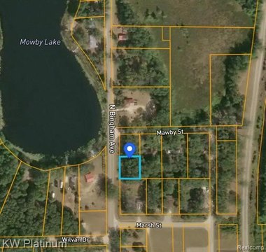Vacant Land, Lilley Twp, MI