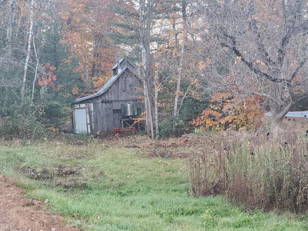Picture 4