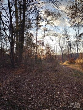 32+ Acres Prime Country Land