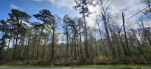Denham Springs Land For Sale