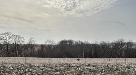 View Lot in New Subdivision