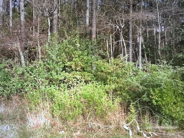 Residential Land in Holley by Sea