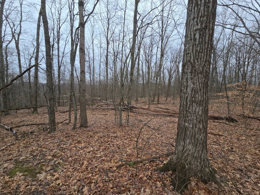 Picture 10