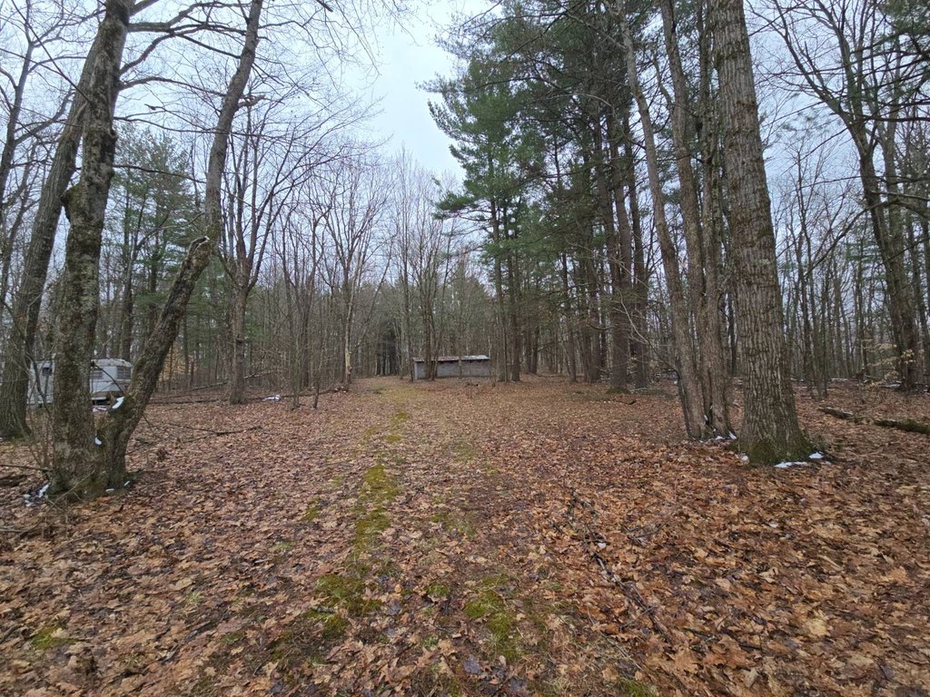 Picture 17