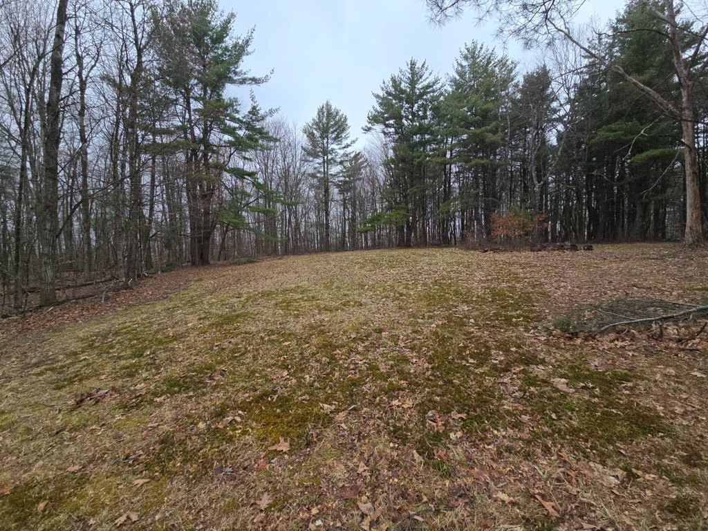 Picture 8