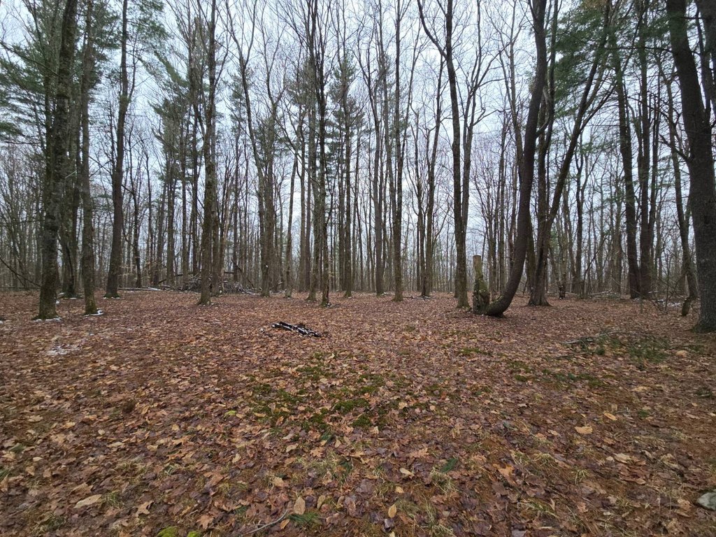 Picture 21