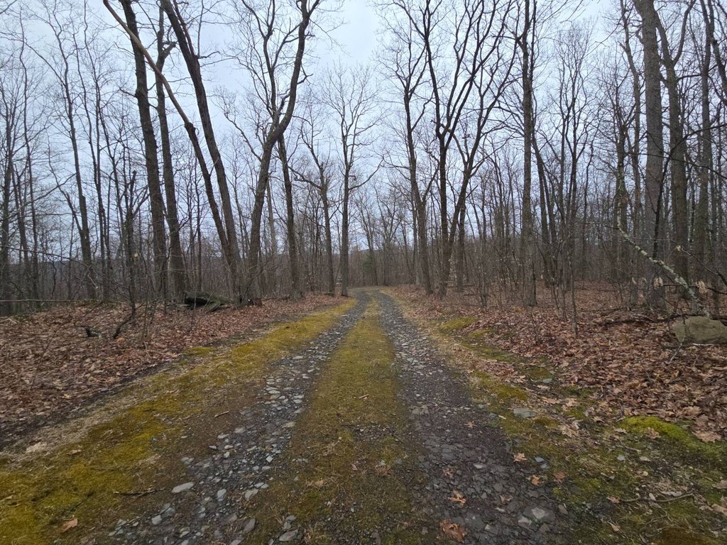 Picture 25