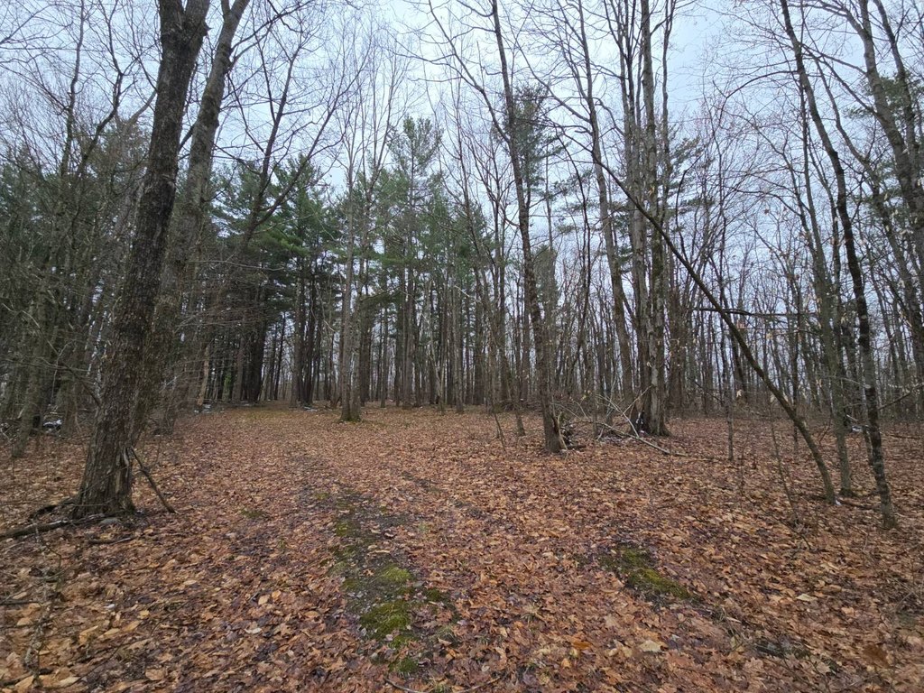 Picture 20
