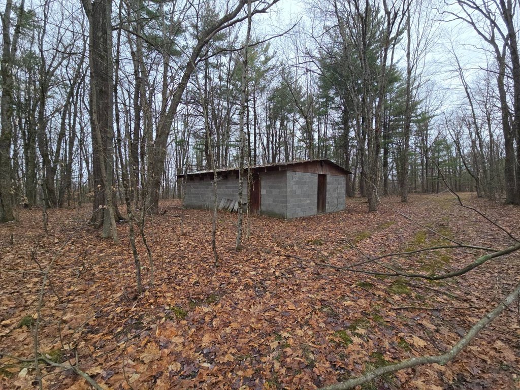 Picture 19