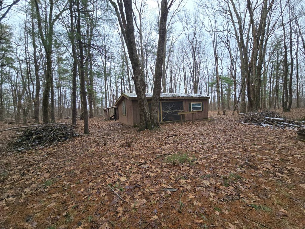 Picture 23