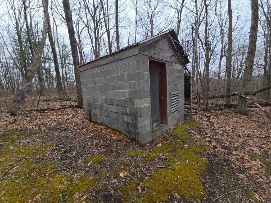 Picture 9