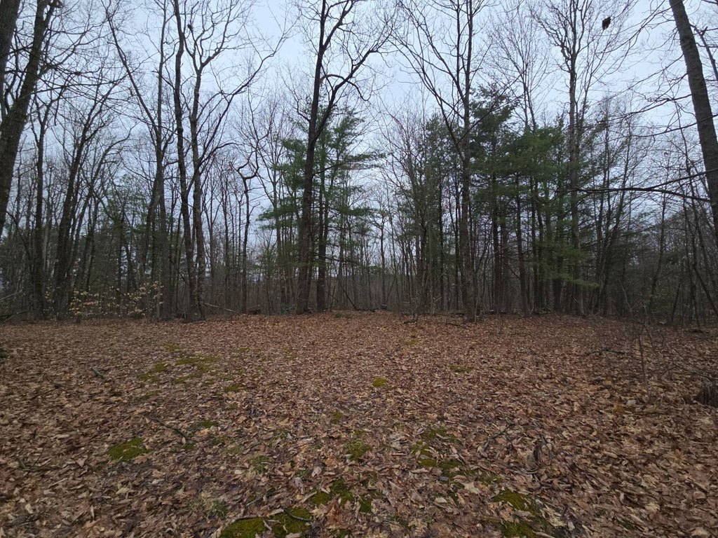 Picture 15