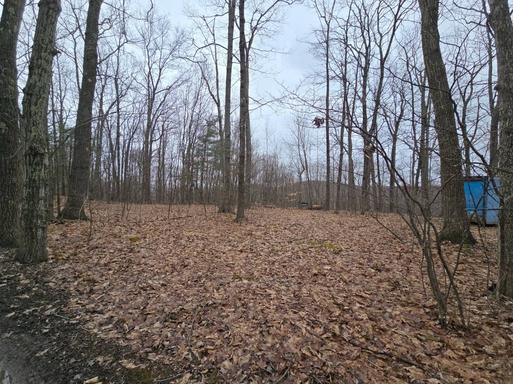 Picture 13