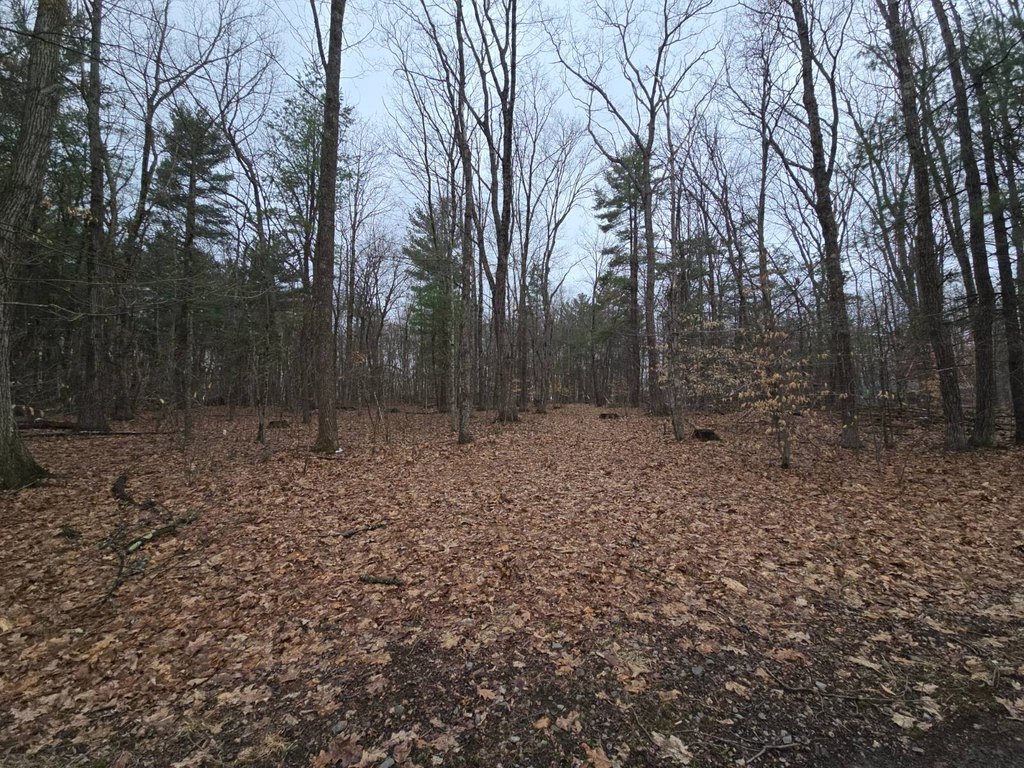 Picture 12