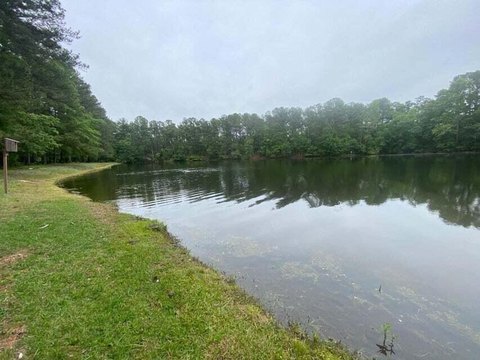 Aiken Lakeside Wooded Lot