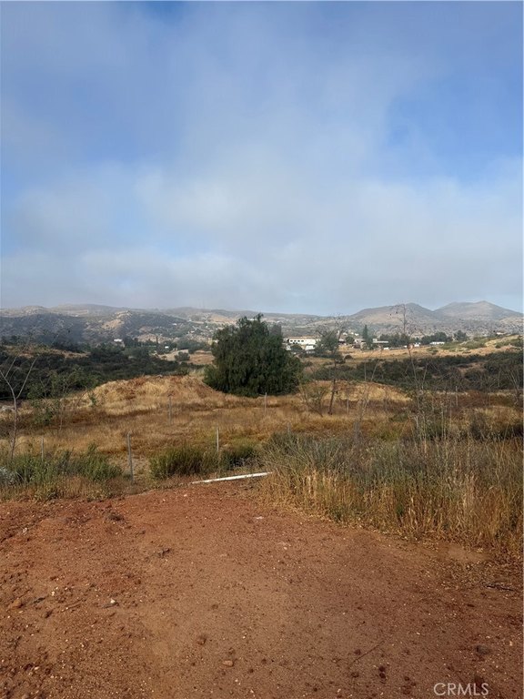 Picture 18