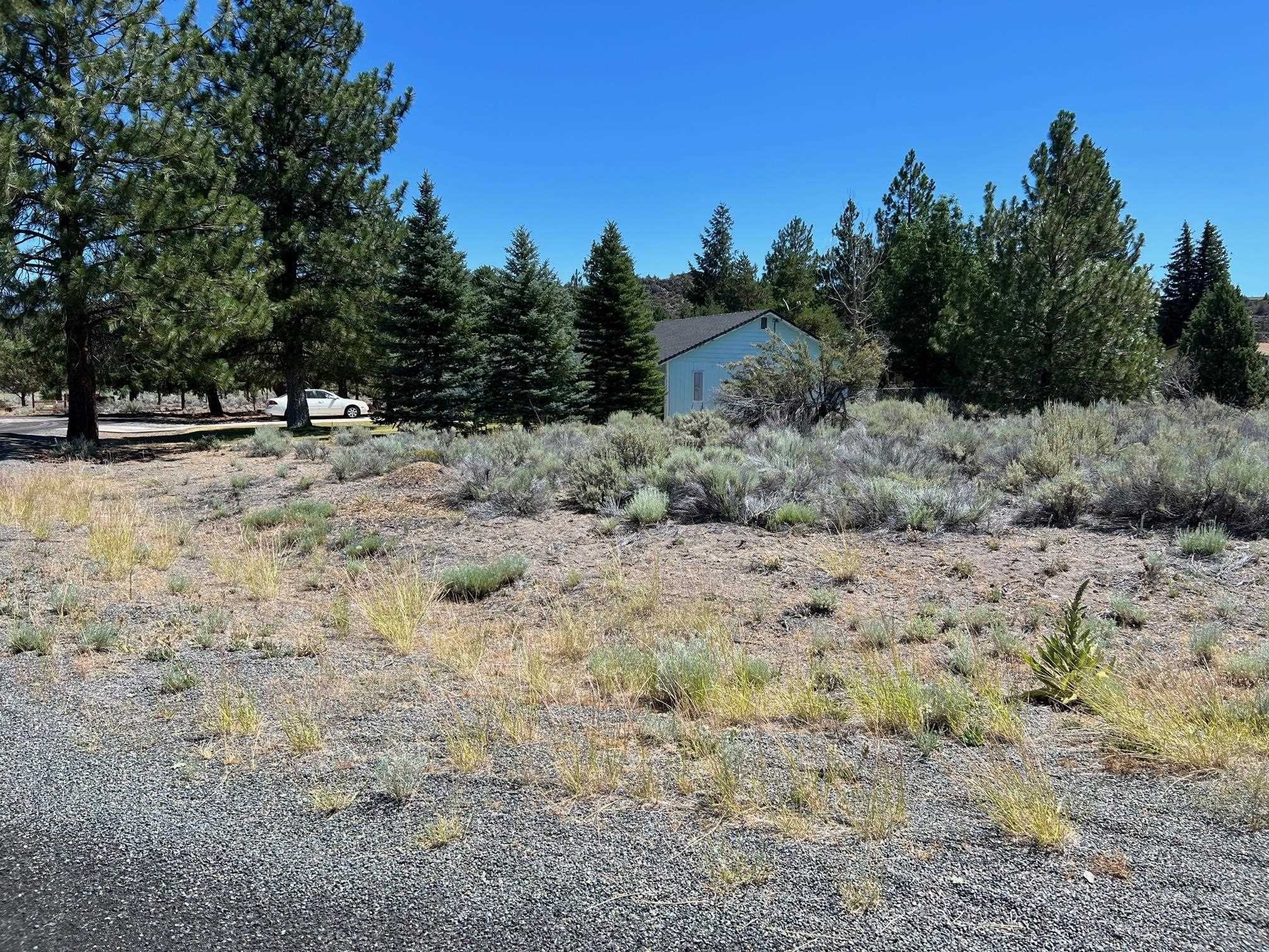 Corner Lot in Lake Shastina