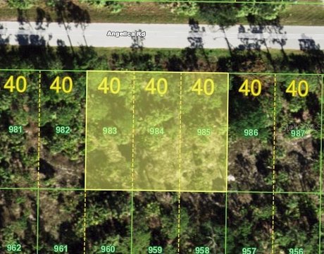 LAND - PUNTA GORDA, FL