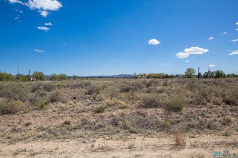 Land For Sale, Willard, NM