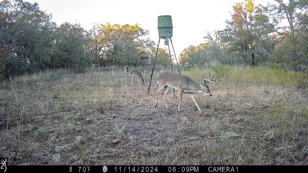 Picture 4