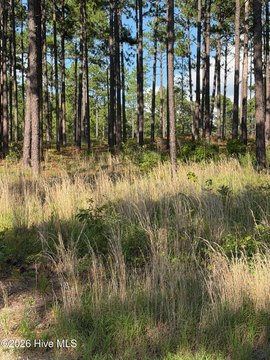 Land, Southern Pines, NC