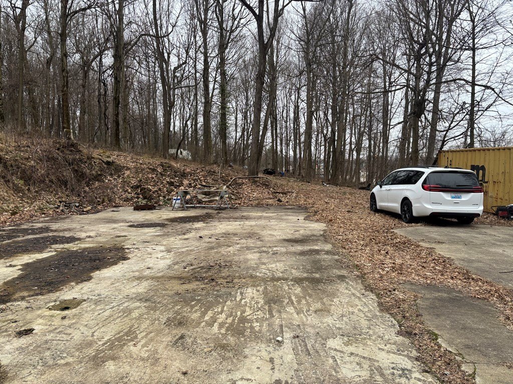 Picture 3