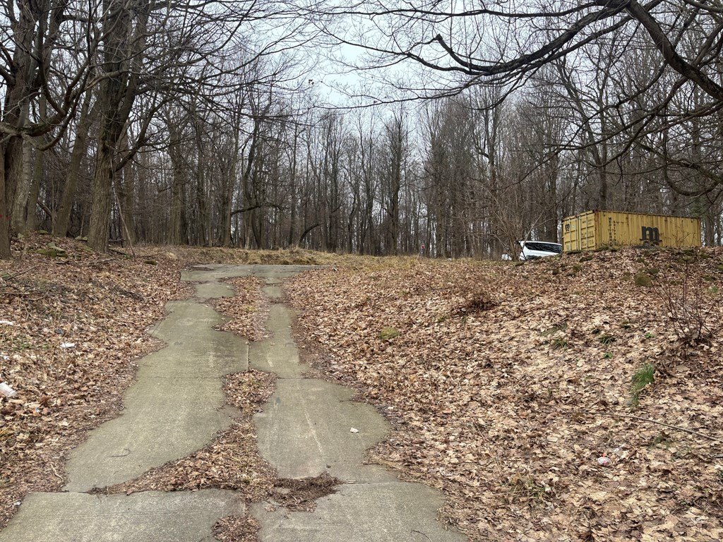 Picture 4