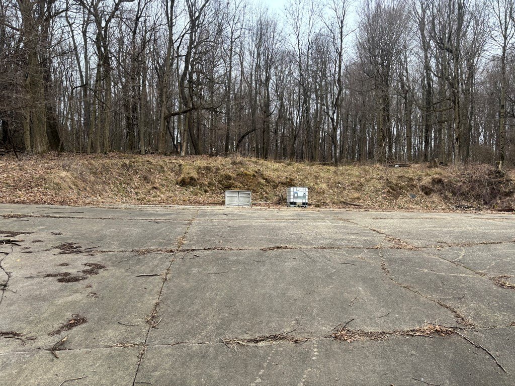 Picture 6