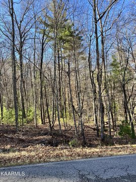 Crossville, TN Wooded Lot