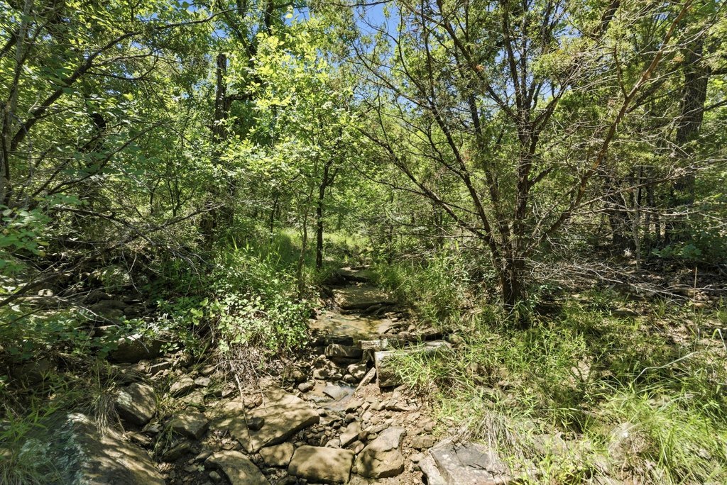 Picture 16