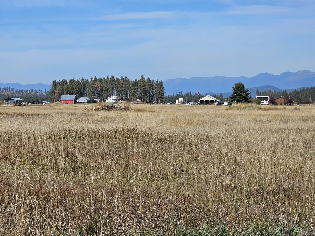 Picture 38