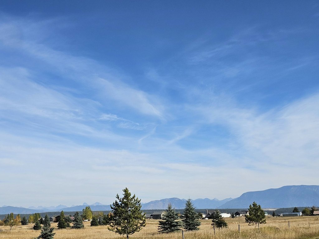 Picture 23