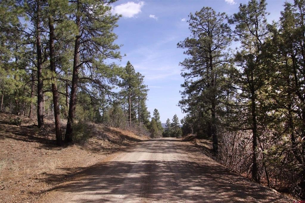 Picture 30