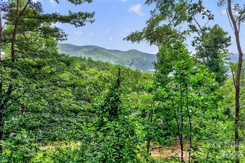 LAND - Swannanoa, NC