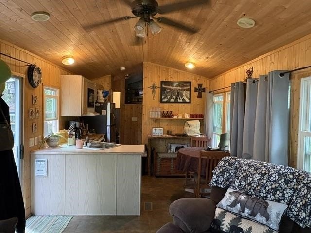 Picture 35