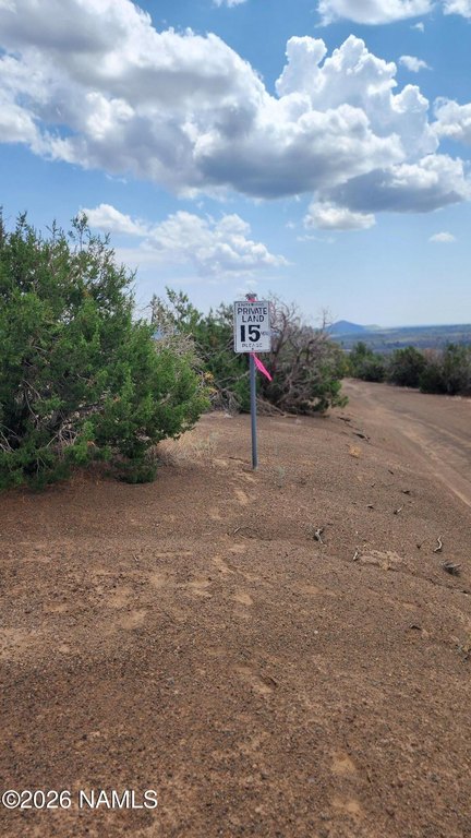 Picture 7