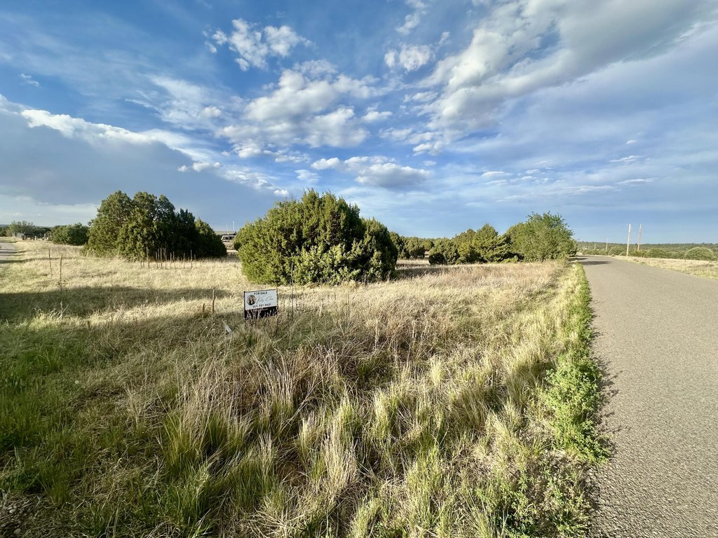 Picture 6