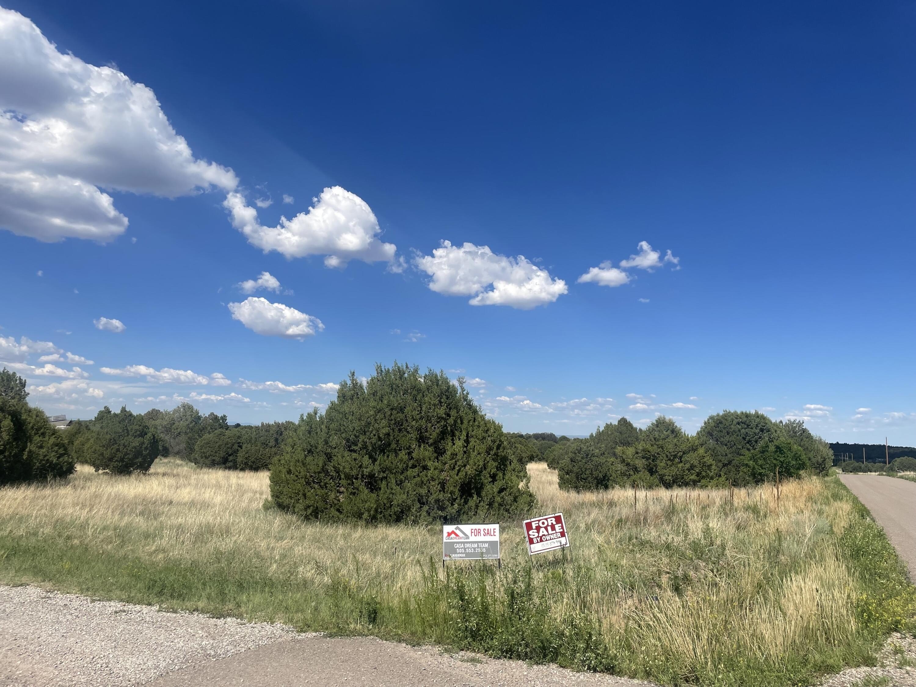 Land with Meadow and Trees