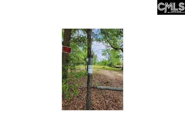 Picture 14