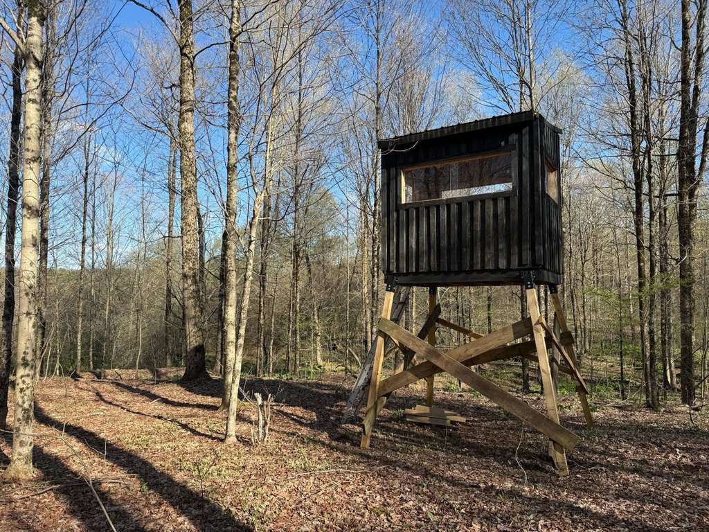 Picture 3