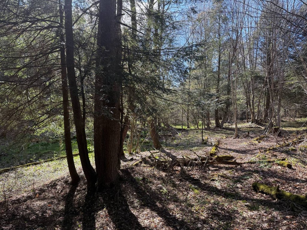 Picture 29