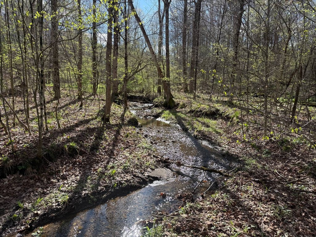 Picture 23