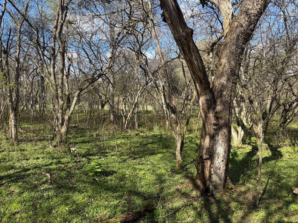 Picture 21