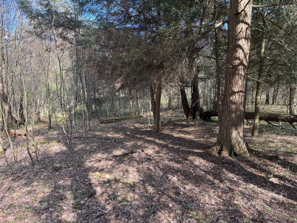 Picture 25