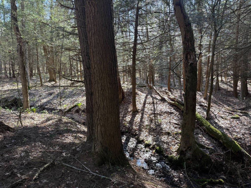 Picture 41