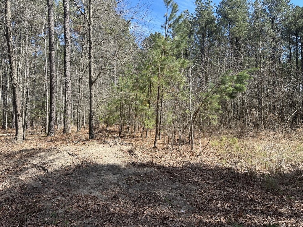 Picture 2