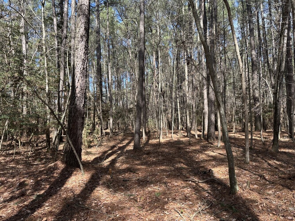 Picture 16